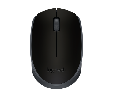 Maus Logitech WIRELESS MOUSE M171 USB